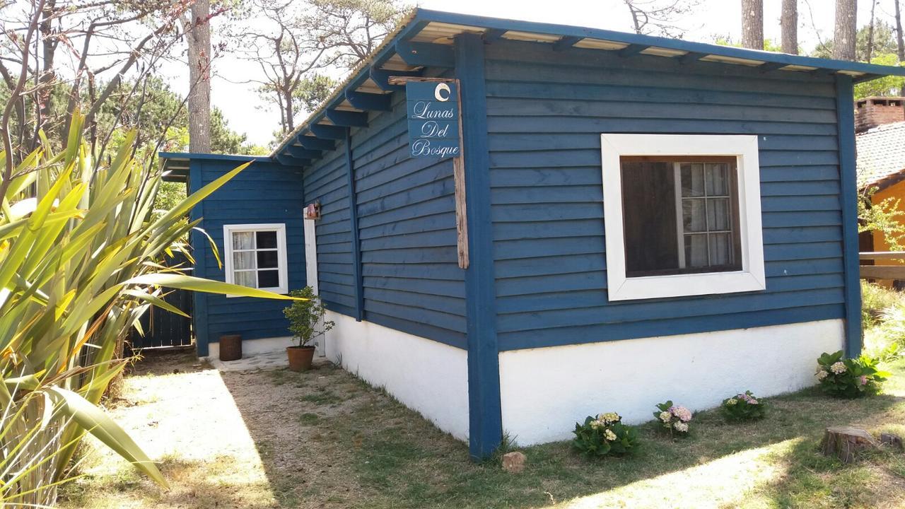 Lunas Del Bosque Cabana Y Apartamento En Suite Ла-Палома Экстерьер фото