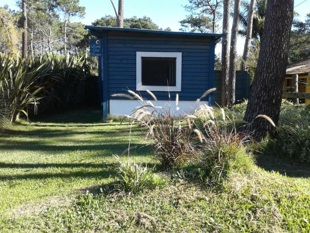 Lunas Del Bosque Cabana Y Apartamento En Suite Ла-Палома Экстерьер фото